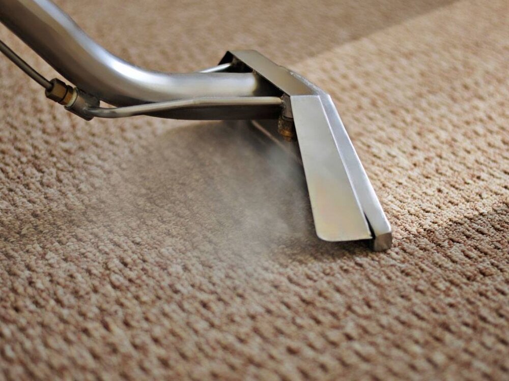 carpet steam cleaning