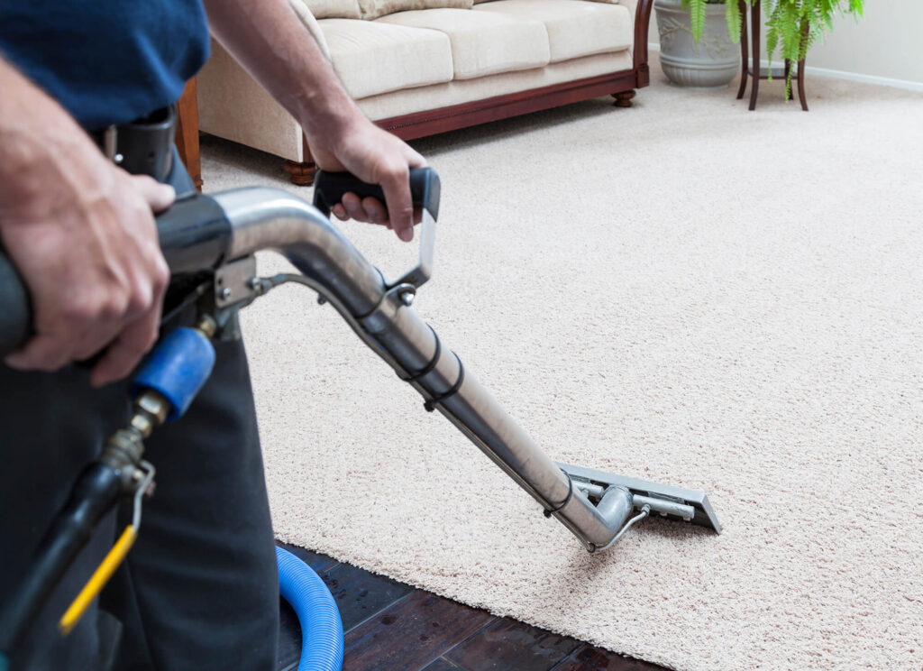 carpet cleaning in a home